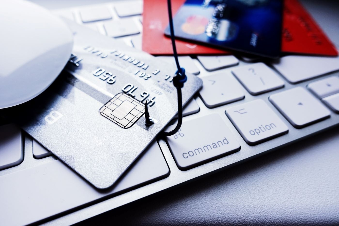 Complete Guide to Phishing Attacks: What Are the Different Types and Defenses?