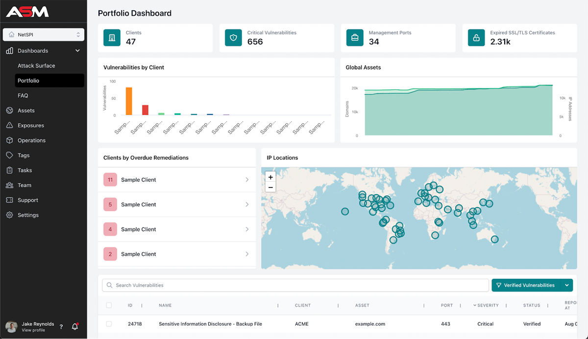 NetSPI portfolio dashboard